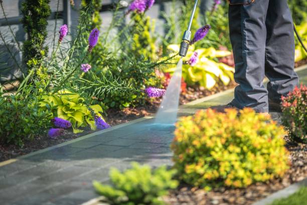 Professional Pressure Washing Services in Prichard, AL