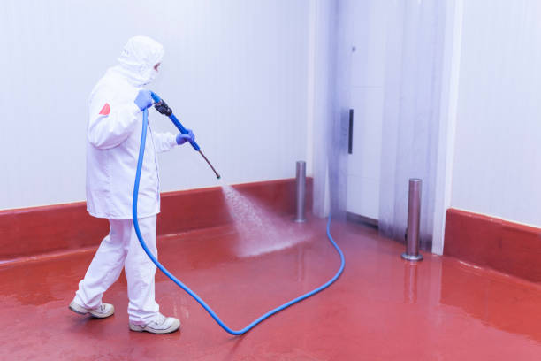 Best House Exterior Washing  in Prichard, AL